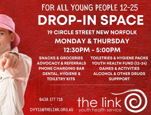 Limk DVYSS cover pic 1225